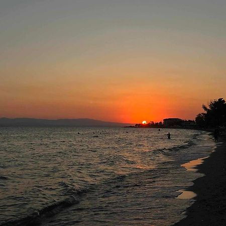 Seaside Studios I Sinakos Estate 埃帕诺米 外观 照片