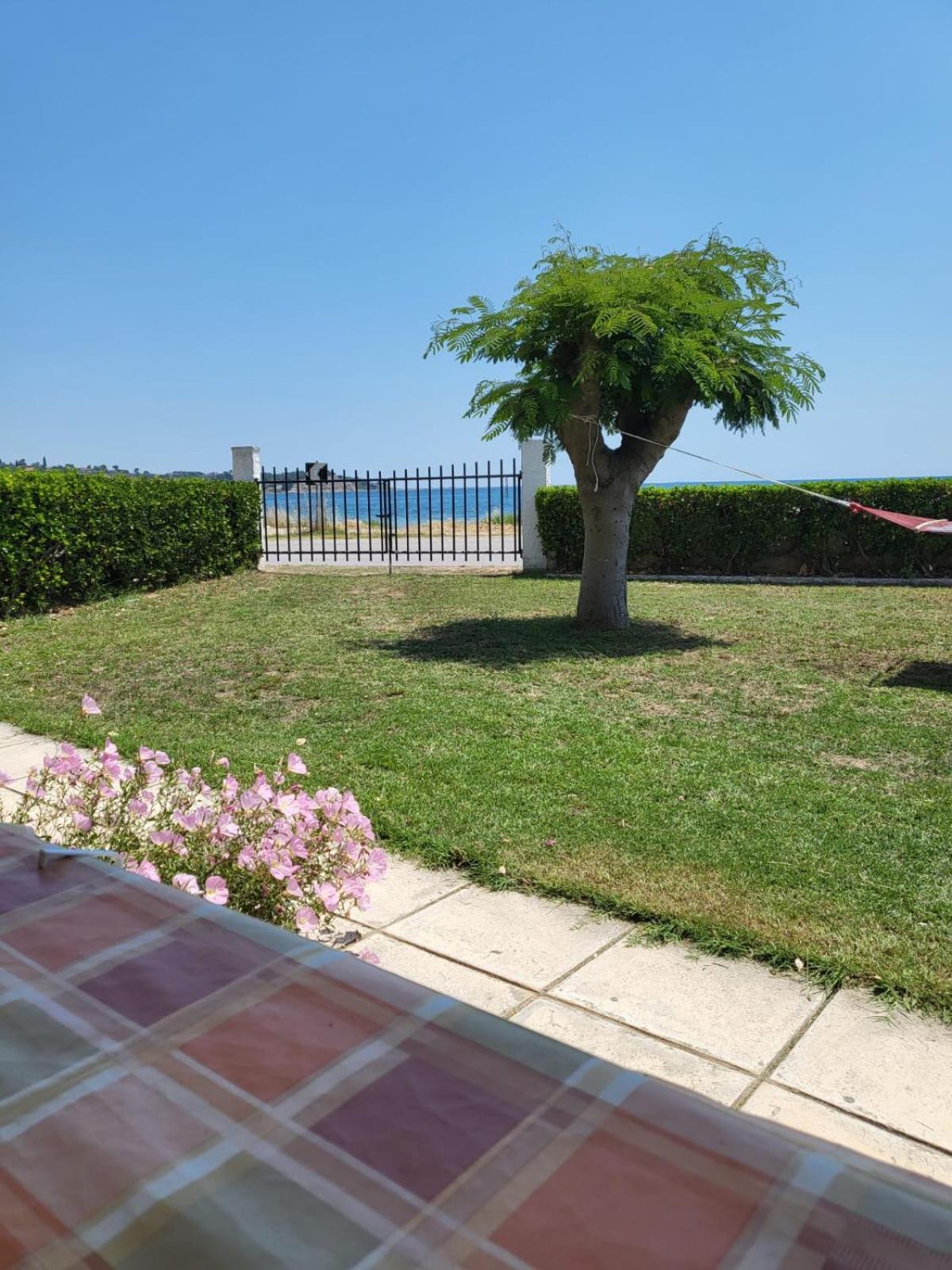 Seaside Studios I Sinakos Estate 埃帕诺米 外观 照片