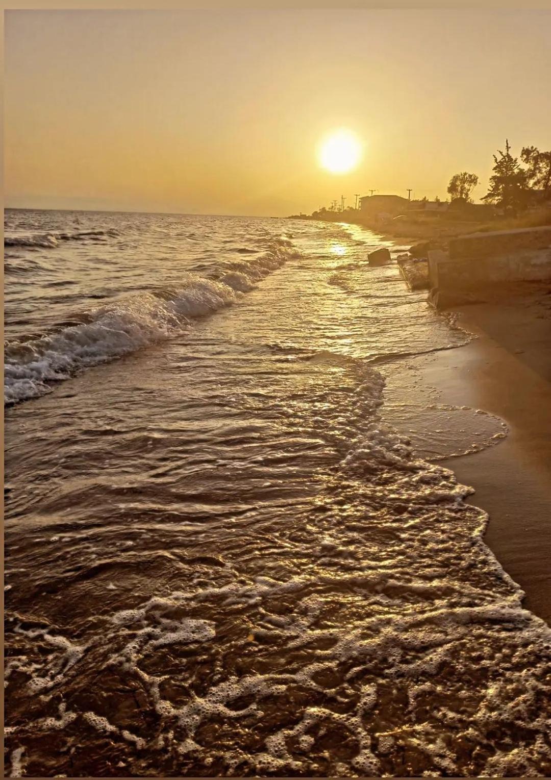Seaside Studios I Sinakos Estate 埃帕诺米 外观 照片