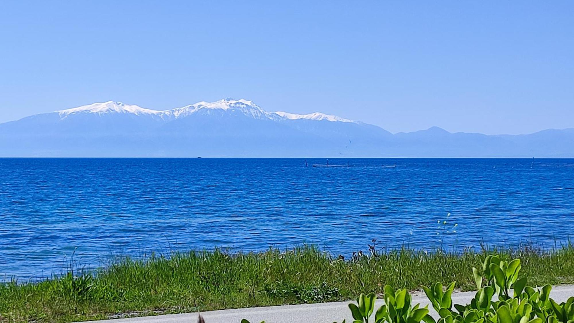 Seaside Studios I Sinakos Estate 埃帕诺米 外观 照片