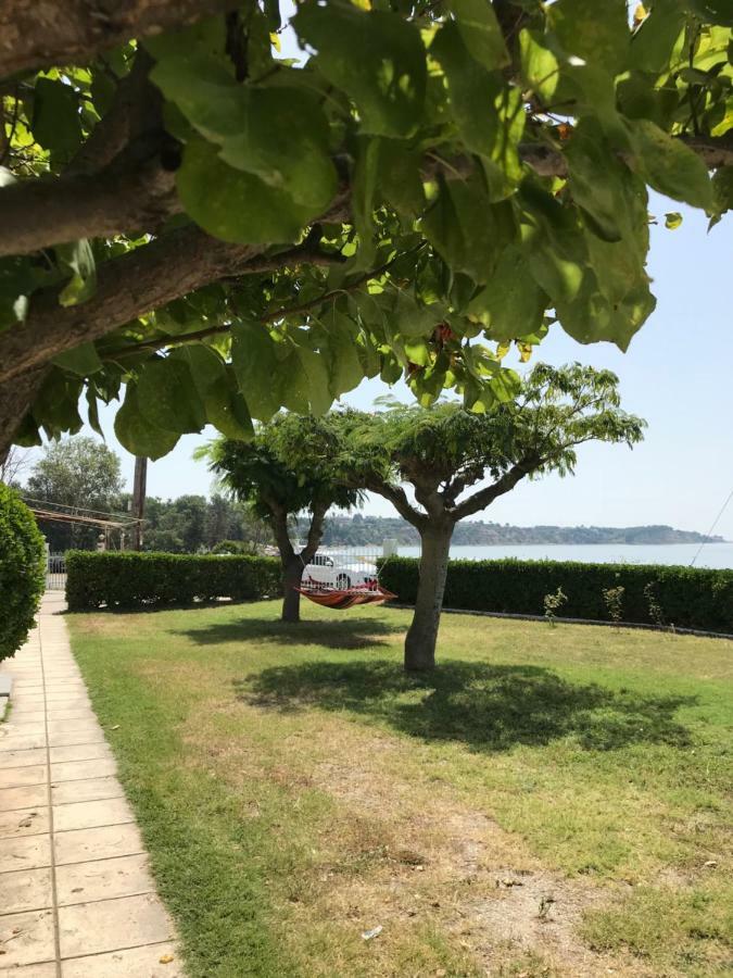 Seaside Studios I Sinakos Estate 埃帕诺米 外观 照片