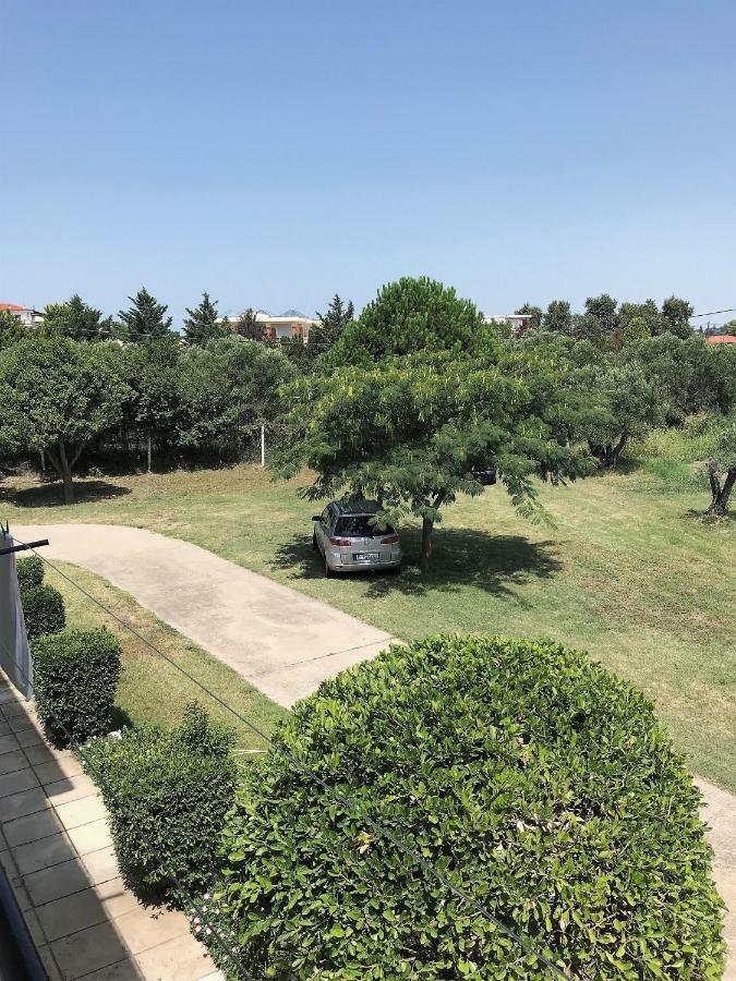 Seaside Studios I Sinakos Estate 埃帕诺米 外观 照片
