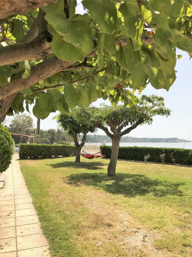 Seaside Studios I Sinakos Estate 埃帕诺米 外观 照片