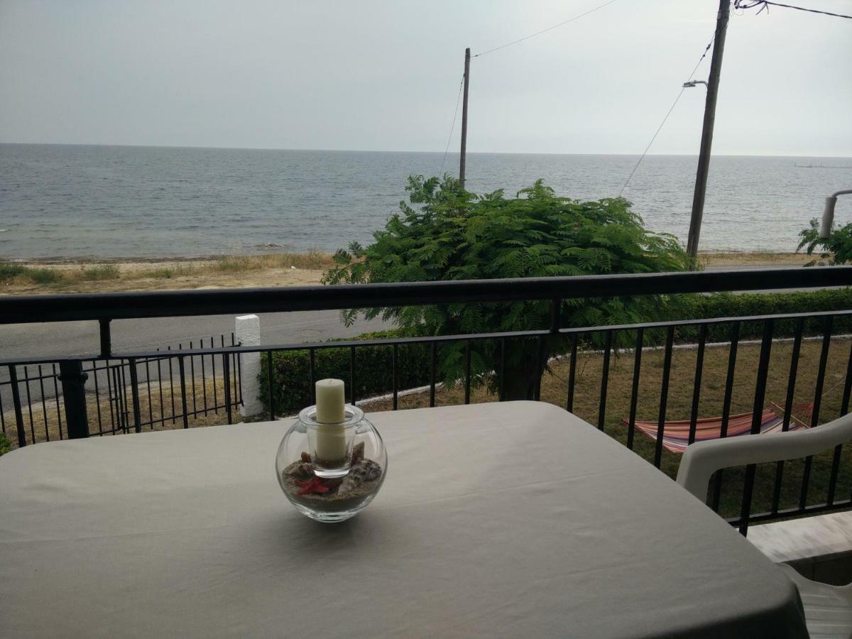 Seaside Studios I Sinakos Estate 埃帕诺米 外观 照片